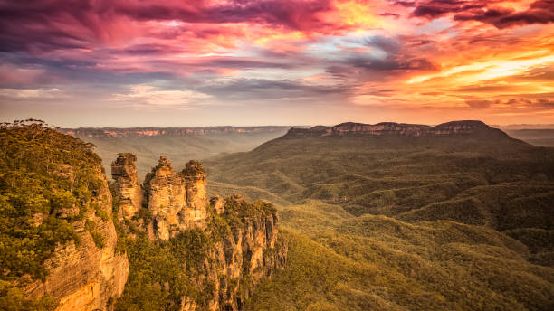 Tree Sisters Blue Mountains Australia An image of the Tree Sisters Blue Mountains Australia sunset blue mountains australia photos stock pictures, royalty-free photos & images