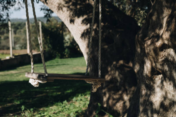 istock wooden swing tied to the big tree. 1090944948