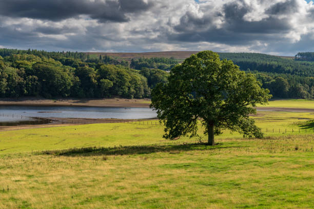 istock Derwent Reservoir, Northumberland, England, UK 1090949078