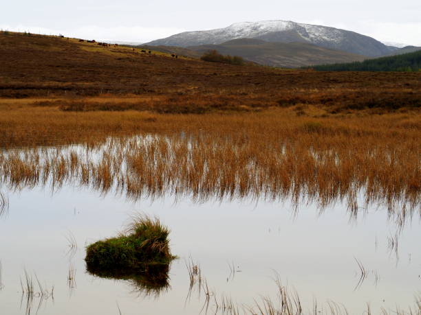 istock loch and mountain in Scottish Highands 1090950358