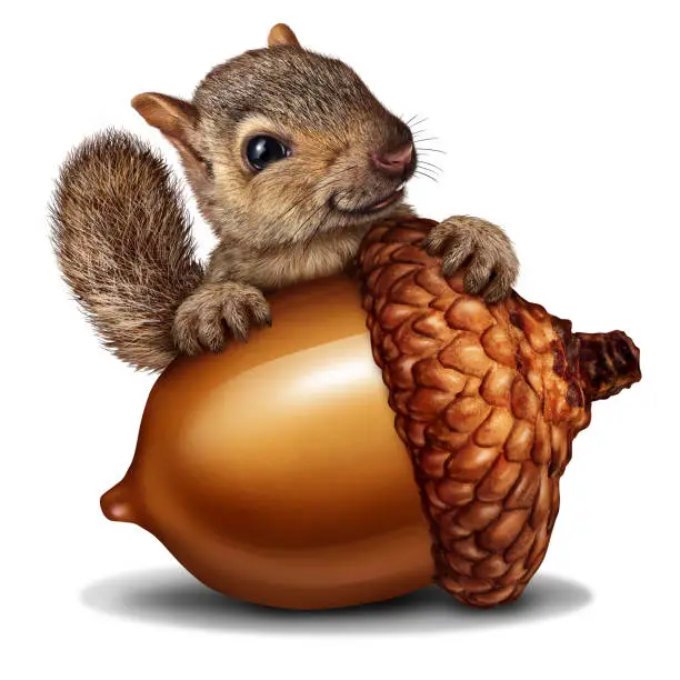 Funny squirrel holding a giant acorn tree nut as a wealth or wealthy metaphor for business and financial savings in a 3D illustration style.