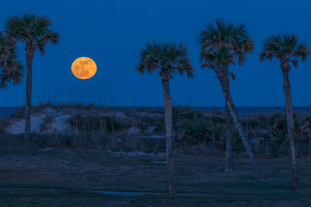 Full Moon over Atlantic Ocean at Fernandina Beach, Florida stock photo
