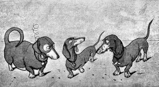 Cartoon Of Dachshund Black And White Illustrations, Royalty-Free Vector Graphics & Clip Art - iStock Cartoon Of Dachshund Black And White Illustrations, Royalty-Free Vector Graphics & Clip Art - iStock
