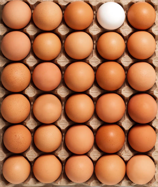 Brown white fresh chicken eggs in paperboard container. Top view Brown white fresh chicken eggs in paperboard container. Top view egg carton stock pictures, royalty-free photos & images