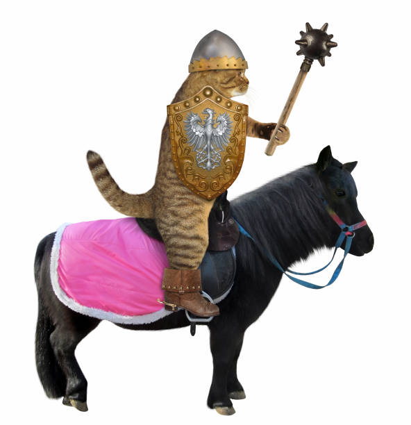 istock Cat with a mace on a black horse 1090968518