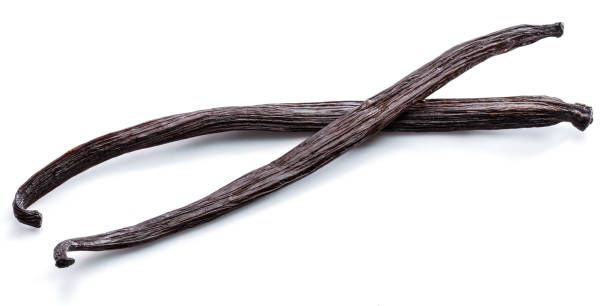 istock Dried vanilla fruits. 1090969796