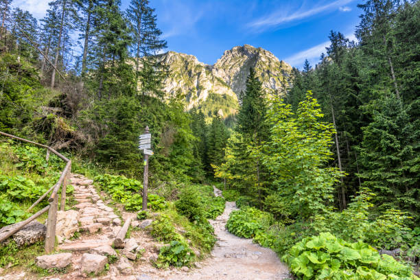 paisagem de caminhadas sob o monte de giewont, montanhas de tatra, polônia - poland mountain tatra mountains giewont - fotografias e filmes do acervo