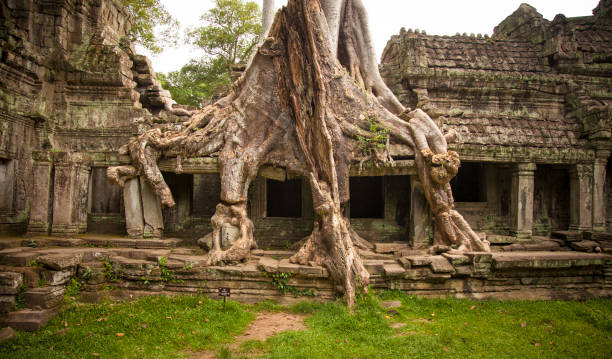 istock Preah Khan temple at Angkor Wat complex, Siem Reap, Cambodia 1090979778