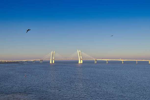 istock Freeway with cable-stayed bridge over the sea, early morning dawn 1090979860