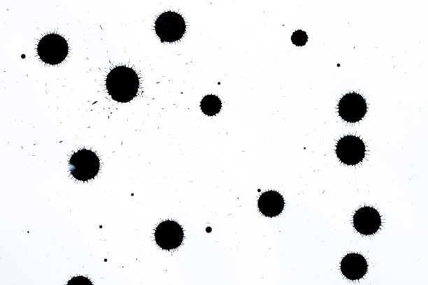 Black ink splashes on white textured paper for brushes and graphic design