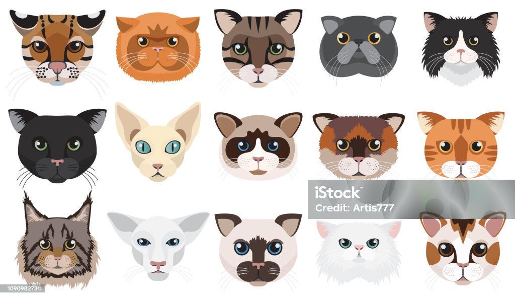 Cats Heads Faces Emoticons Vector Illustration Set Stock Illustration -  Download Image Now - iStock