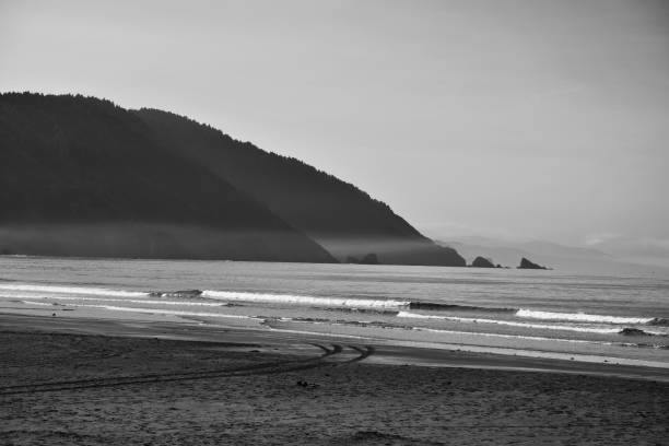 istock North California Coastline 1090988146