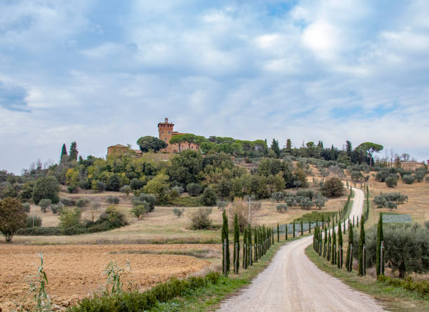 istock Tree lines road in autumntime, Toscana 1090990460