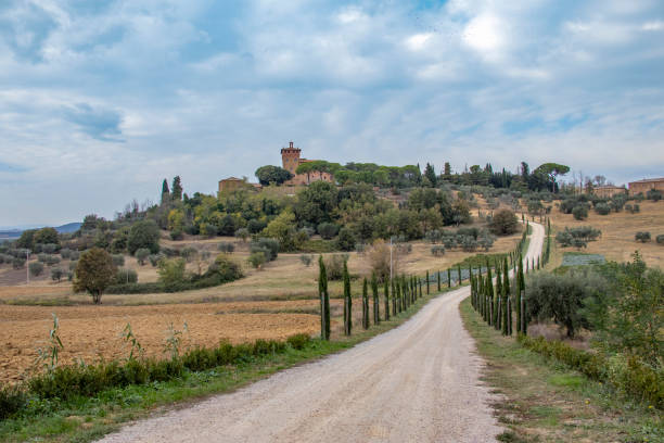 istock Tree lines road in autumntime, Toscana 1090990748