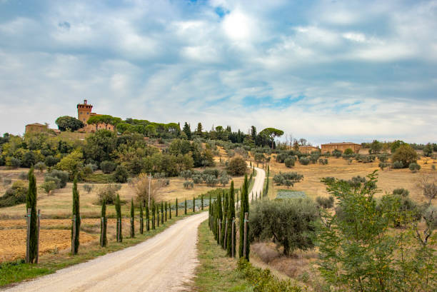 istock Tree lines road in autumntime, Toscana 1090990750