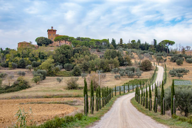 istock Tree lines road in autumntime, Toscana 1090990822