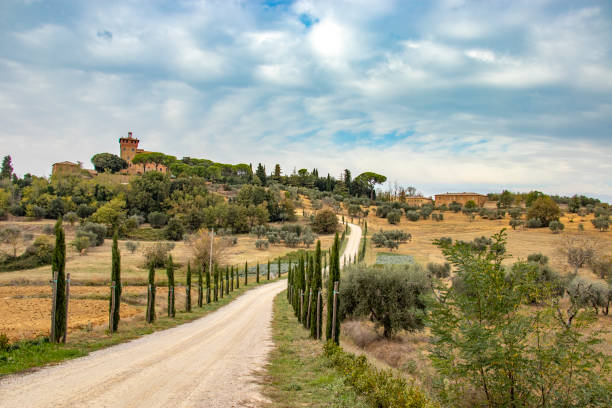 istock Tree lines road in autumntime, Toscana 1090990824