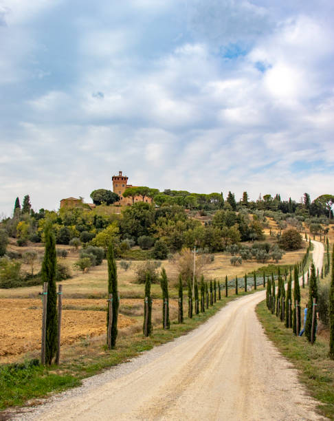 istock Tree lines road in autumntime, Toscana 1090991044