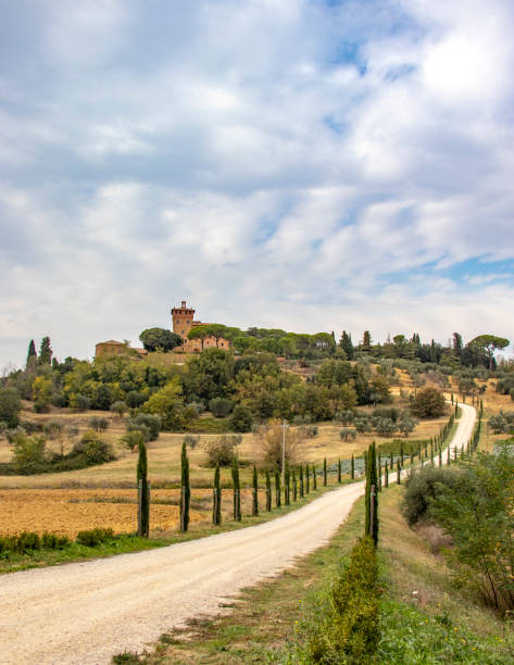 istock Tree lines road in autumntime, Toscana 1090992338