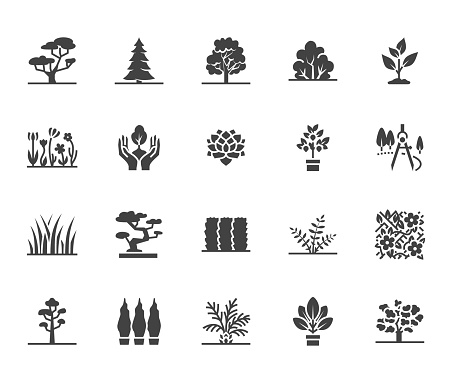 Trees flat glyph icons set. Plants, landscape design, fir tree, succulent, privacy shrub, lawn grass, flowers vector illustrations. Signs for garden store. Solid silhouette pixel perfect 64x64.