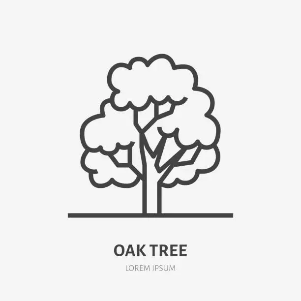 Vector illustration of Oak tree flat line icon. Vector thin sign of park plant, ecology logo. Nature illustration, forest symbol