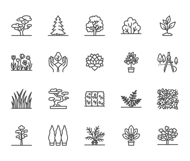 stockillustraties, clipart, cartoons en iconen met bomen platte lijn pictogrammen instellen. planten, landschap ontwerp, fir tree, sappig, privacy struik, gazon gras, bloemen vector illustraties. dunne tekenen voor tuin winkel. pixel perfect 64 x 64. bewerkbare lijnen - plant