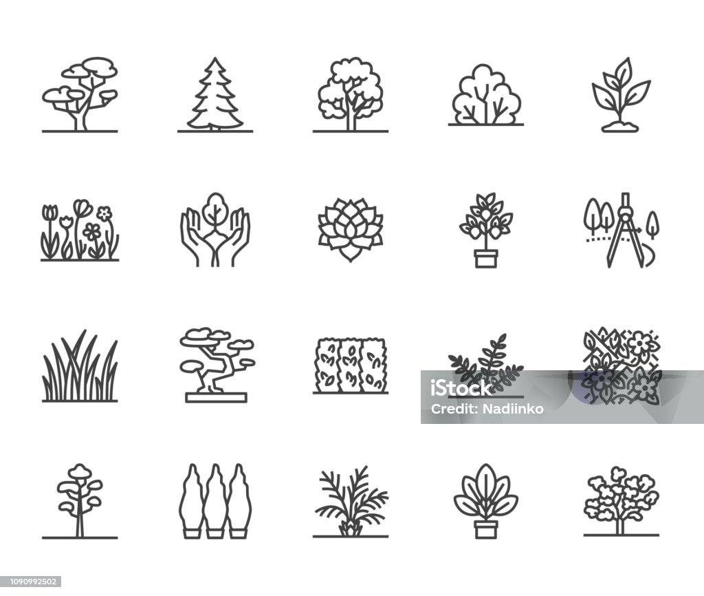 Conjunto de ícones de linha plana de árvores. Plantas, paisagem desenho árvore do abeto, suculento, arbusto de privacidade, gramado, flores vector ilustrações. Finas sinais para a loja do jardim. Pixel perfect 64 x 64. Cursos editáveis - Vetor de Ícone de Computador royalty-free