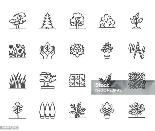 Trees Flat Line Icons Set Plants Landscape Design Fir Tree Succulent Privacy Shrub Lawn Grass Flowers Vector Illustrations Thin Signs For Garden Store Pixel Perfect 64x64 Editable Strokes Stock Illustration - Download Image Now