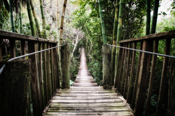 istock old wooden suspension bridge over river 1090992758