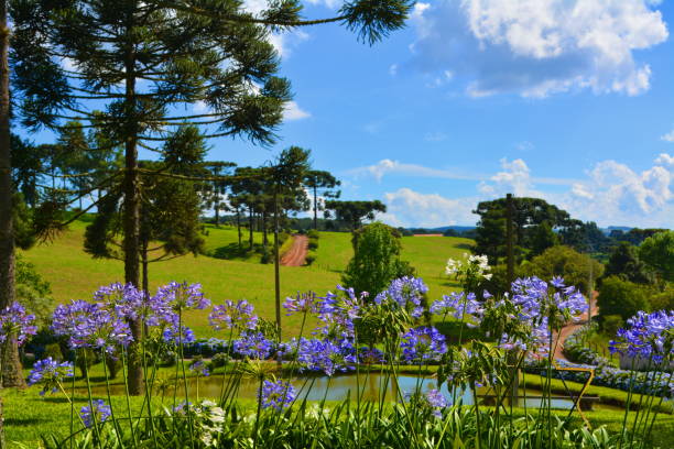 Beautiful landscape of Santa Catarina stock photo