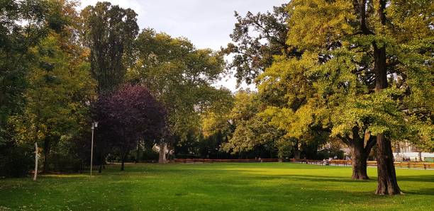 istock Lawn in the park 1091000264