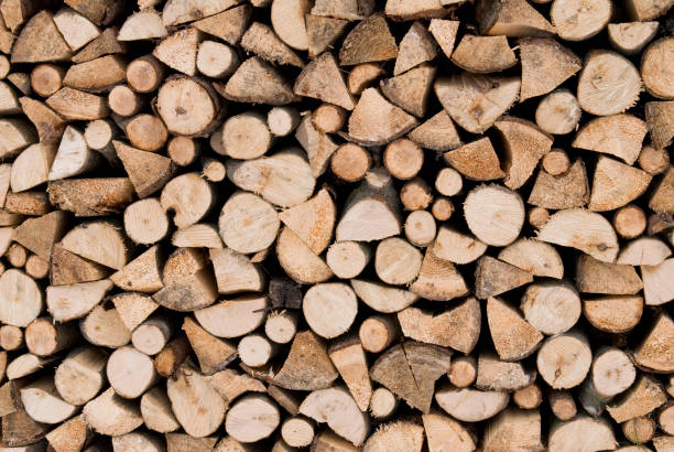 istock Stacked firewood for the winter 1091002918