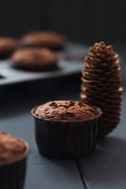 Hygge winter dessert. Homemade chocolate muffins and fir cone on dark background selective focus