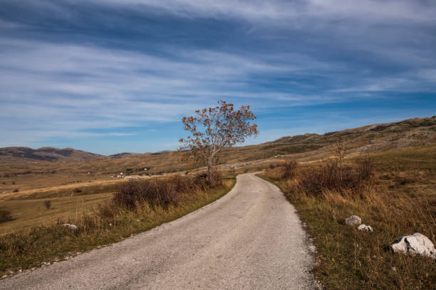 istock Mountain landscape in the autumn cloudy day 1091011364
