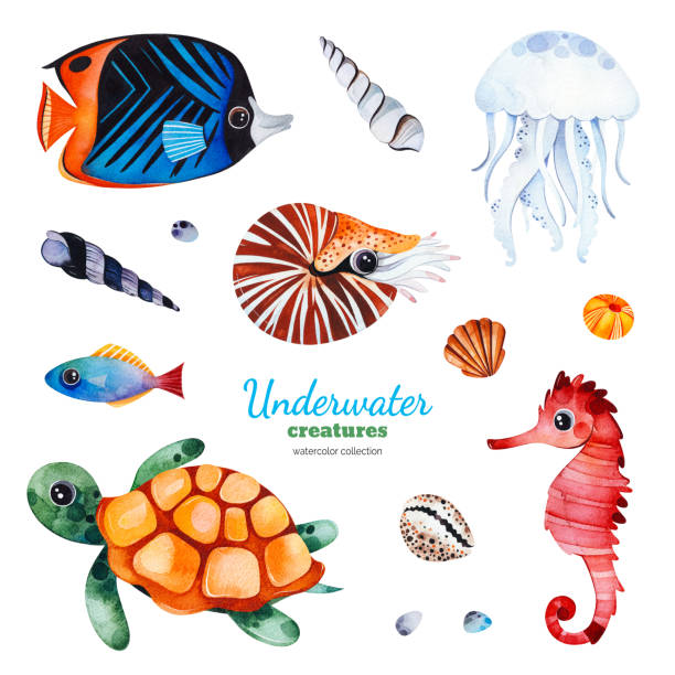 istock Watercolor collection with multicolored coral fish.shells,turtle,jellyfish,seahorse,nautilus 1091011380