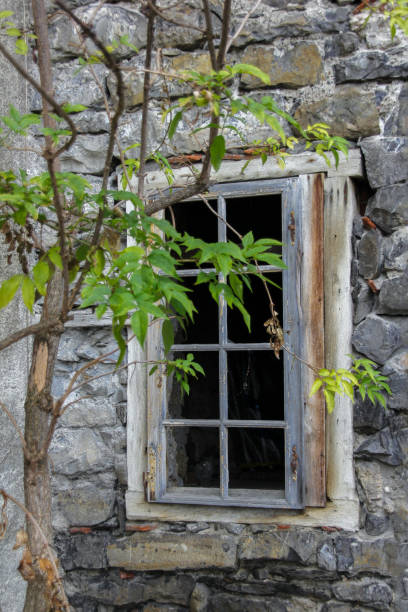 istock Abandoned house with a young tree outside 1091011496