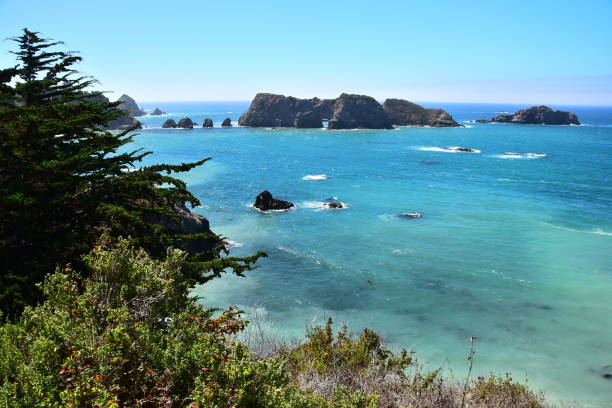 istock Kelp Bed along California Coastline 1091011830