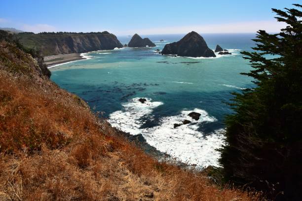 istock Kelp Bed along California Coastline 1091011836