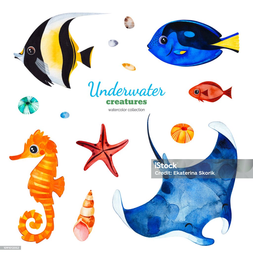 Watercolor collection with multicolored coral fishes.shells,seahorse,starfish Underwater creatures. Watercolor collection with multicolored coral fishes.shells,seahorse,starfish etc!Perfect for invitations,party decorations,printable,craft project,greeting cards,blogs,sticke Manta Ray stock illustration