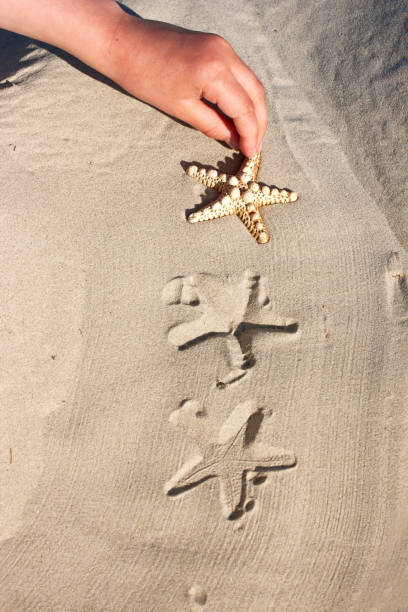 istock Sea  beach  background, summer and travel concept 1091012442