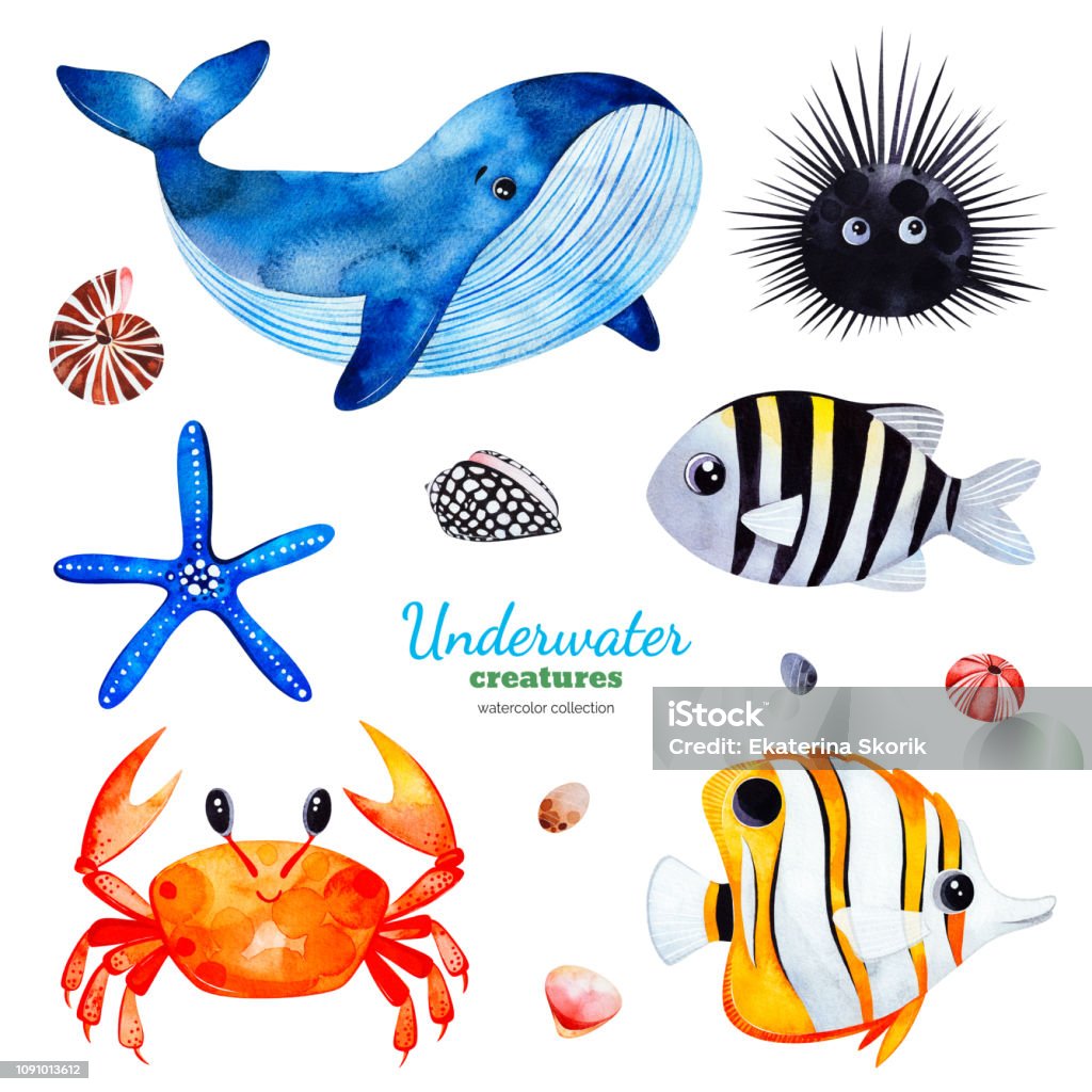 Watercolor collection with multicolored coral fishes.shells,crab,whale,starfish,urchin Underwater creatures.Watercolor collection with multicolored coral fishes.shells,crab,whale,starfish,urchin etc!Perfect for invitations,party decorations,printable,craft project,greeting cards,sticker Watercolor Painting stock illustration