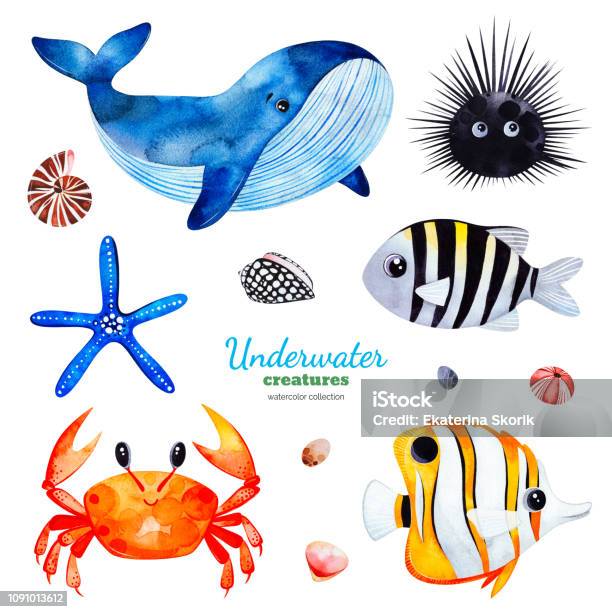 Watercolor Collection With Multicolored Coral Fishesshellscrabwhalestarfishurchin Stock Illustration - Download Image Now