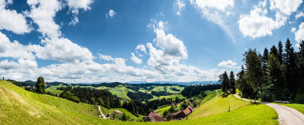 panorama emmental, landschaft und natur im sommer, schweiz, europa - emme valley photos et images de collection