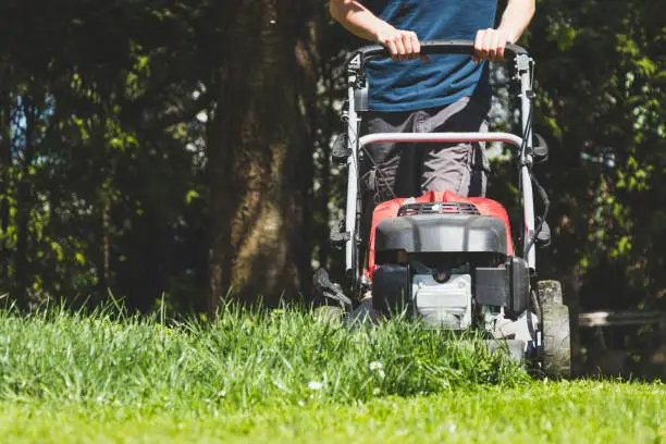 Photo of Mowing the grass with a lawn mower in garden at springtime.