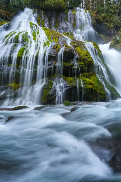 Waterfall in the columbia river gorge in the pacific northwest Washington sate. Panther creek falls in Washington landscape photography captured after hiking to the waterfall.