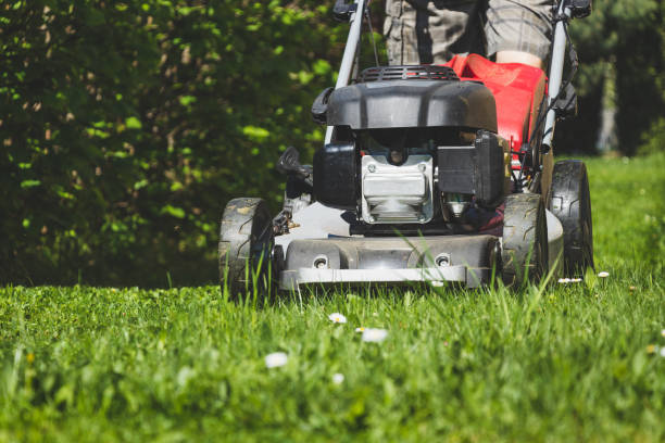 istock Mowing lawn at sunny day. 1091030358