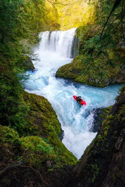 Red Kayak dropping off a waterfall in Washington with lush green forest around. Extreme sport is dangerous to kayak but the young adult male is full of adrenaline as he navigated the whitewater with his oar. The kayaker is wearing a drysuit and helmet because of the cold blue water. Spirit falls is a Kayaker destination in Washington for dangerous extreme action sports.