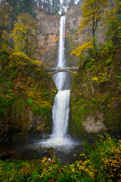 istock Multnomah falls waterfall in the pacific northwest 1091030612