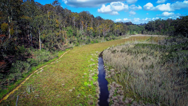 istock Maringa Creek at Nungurner 1091033116