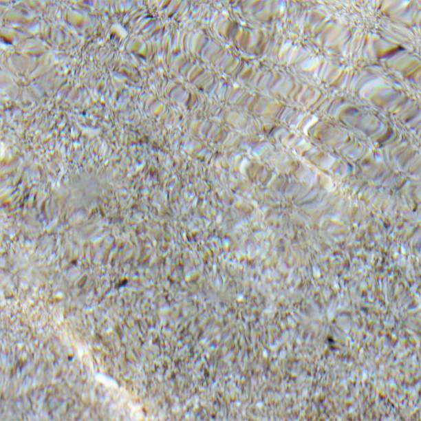 istock Environments: images/patterns/backgrounds in the ocean 1091046620